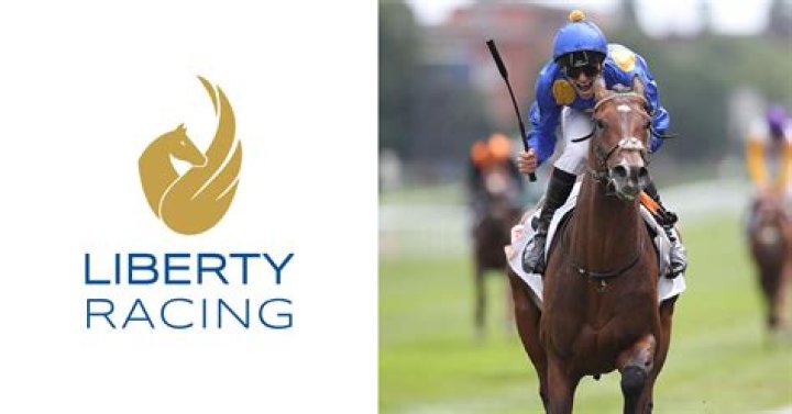SWIFT SPIRIT (D201) 揚帆順風 | Horses | HK Racing