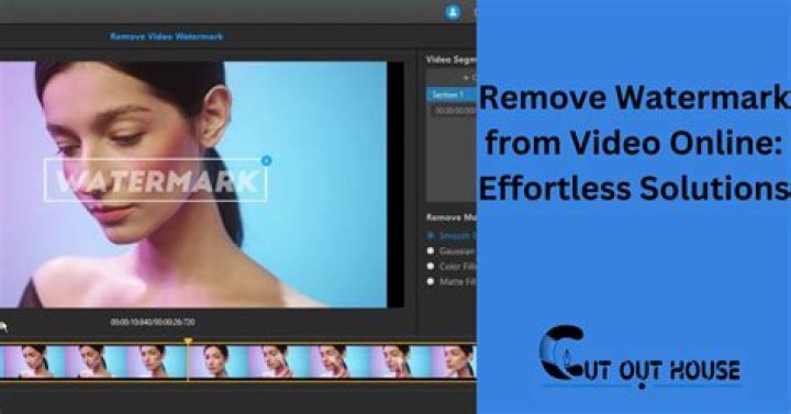 The 4 Best Free Video Watermark Removal Services Online