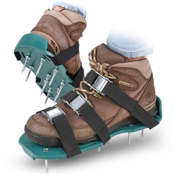 	The best aerator shoes for fall lawn care	