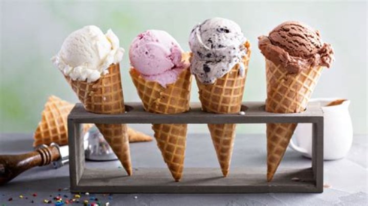 The best freebies and deals