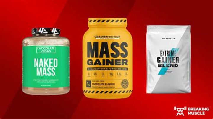 The Best Gainer Shakes To Bulk Up Faster