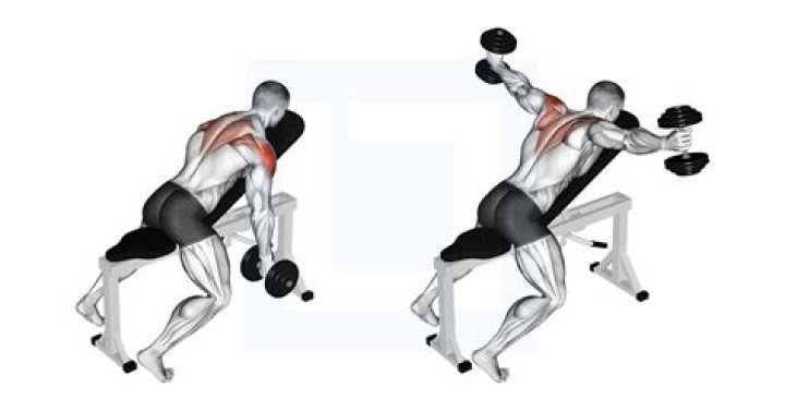The Dumbbell Reverse Fly Exercise | Proper Form & Lift Technique