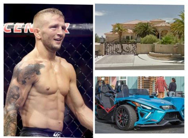 Tj Dillashaw Net Worth 2024