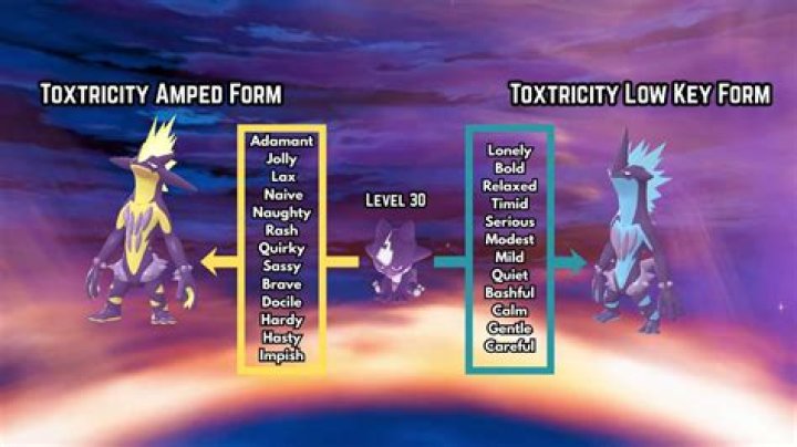 Toxel Pokémon Evolution Apparently Leaked