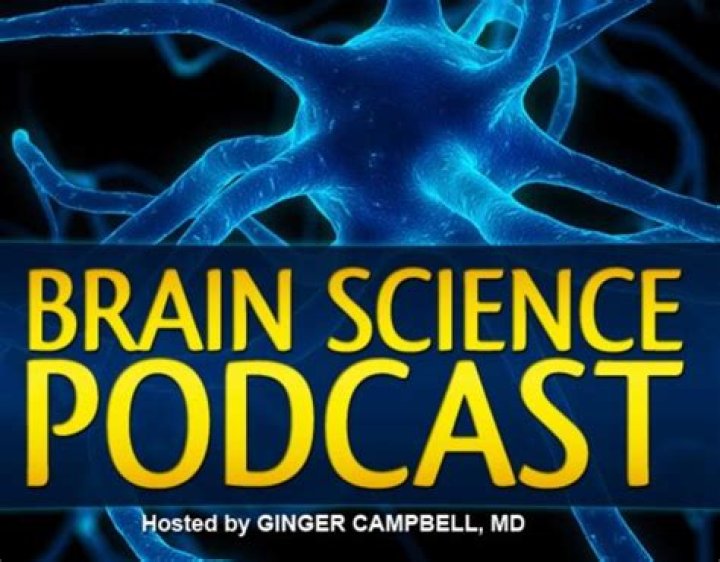 Train Your Brain with 10 Fantastic Neuroscience Podcasts