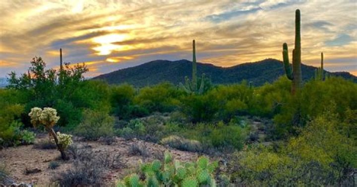 Tucson