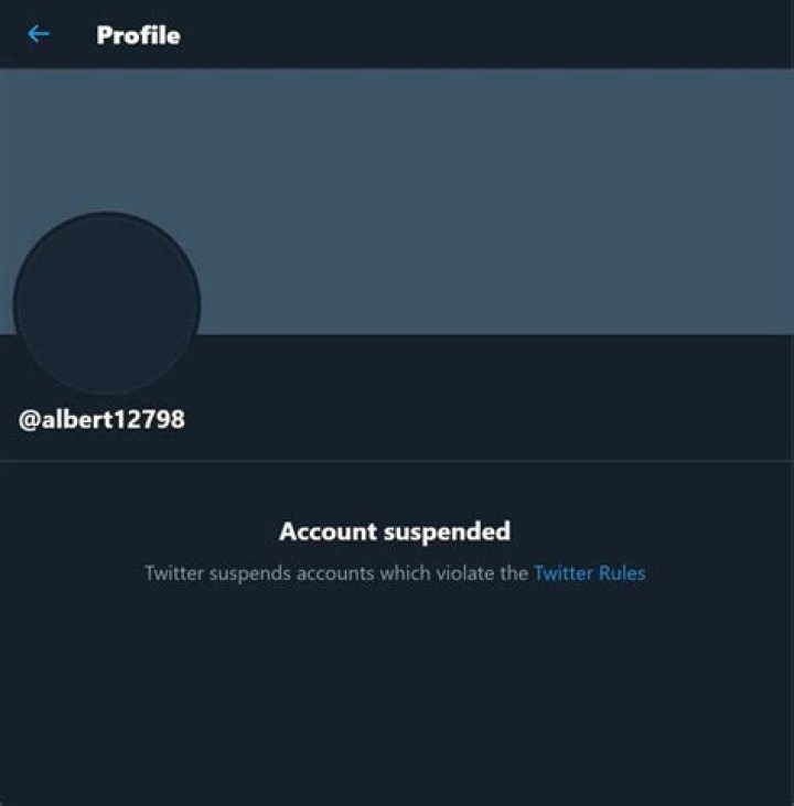 Twitter bans albert12798 meme account and nobody knows why
