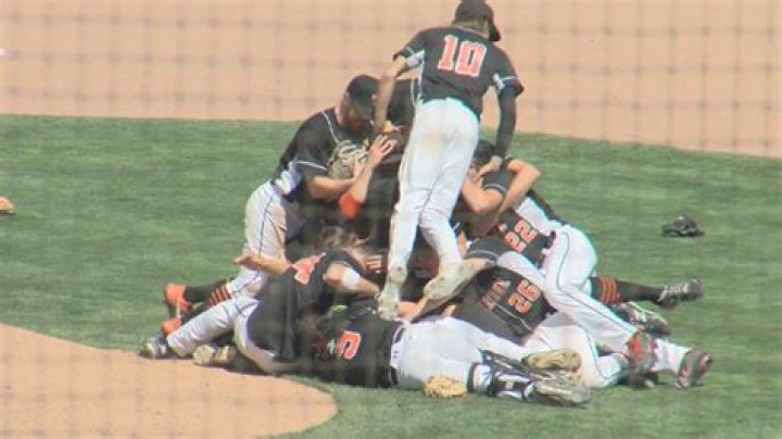 Tyrone baseball captures gold, Ligonier Valley softball falls just short