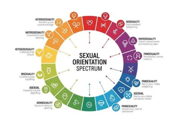 Understanding Andrew Huberman's Sexual Orientation: Is He Gay?