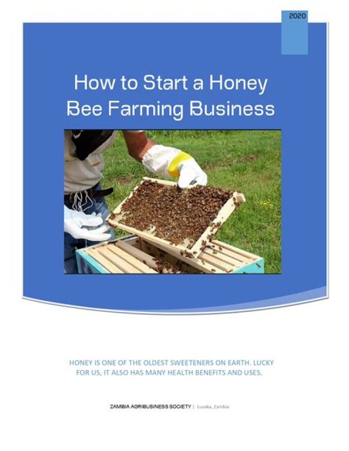 Understanding Honey Toon: A Comprehensive Guide