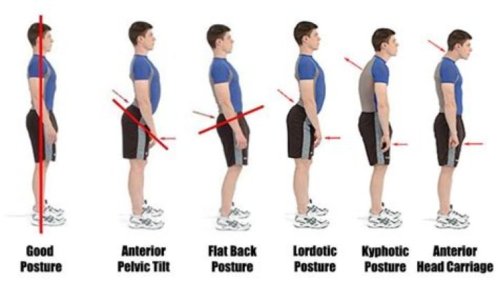 Understanding Skirby Leans: A Comprehensive Guide