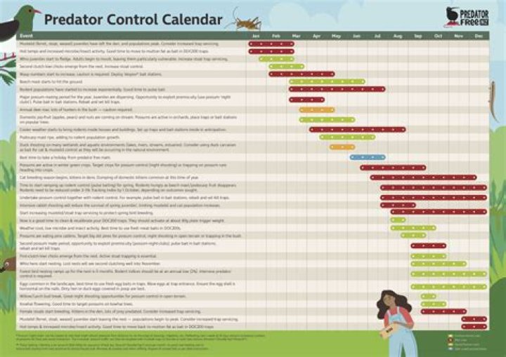 Understanding The Child Predator Calendar: A Necessary Awareness Tool