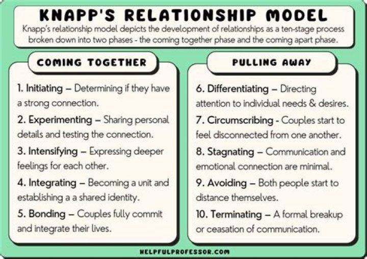 Understanding The Dynamics Of Nick Zano's Relationship Journey