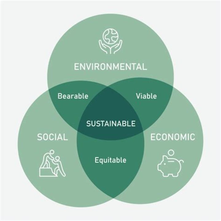 Understanding Vaeredd: The Emerging Trend In Sustainable Living