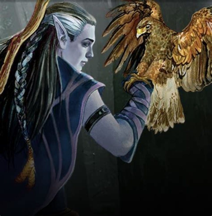Unearthed Arcana - Unearthed Arcana: Druid Circles And Wild Shape