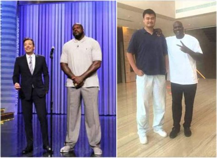 Unraveling The Giant: Shaq Height In Feet