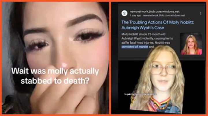 Unraveling The Mystery: Did Someone Kill Molly Noblitt?