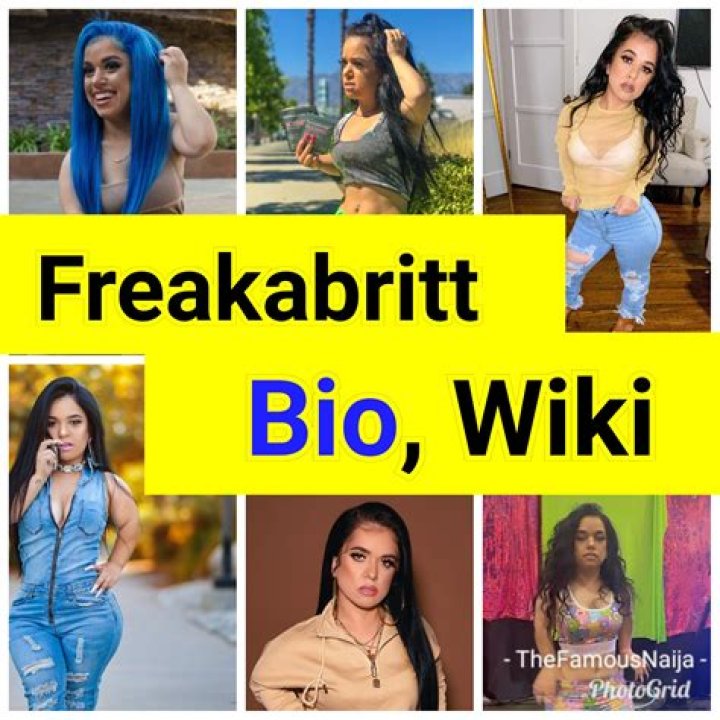 Unveiling Freakabritt's Net Worth: A Journey Of Wealth And Influence