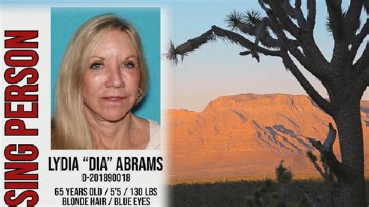 Unveiling The Truth: Dia Abrams Missing Case Unravels