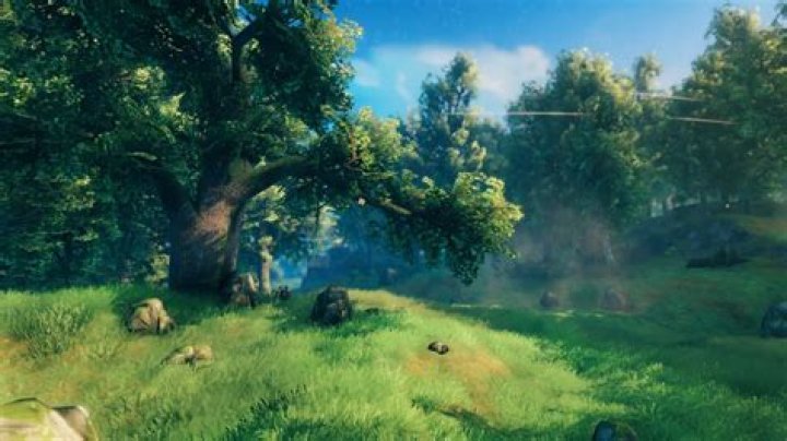 Valheim Planting Seeds Guide