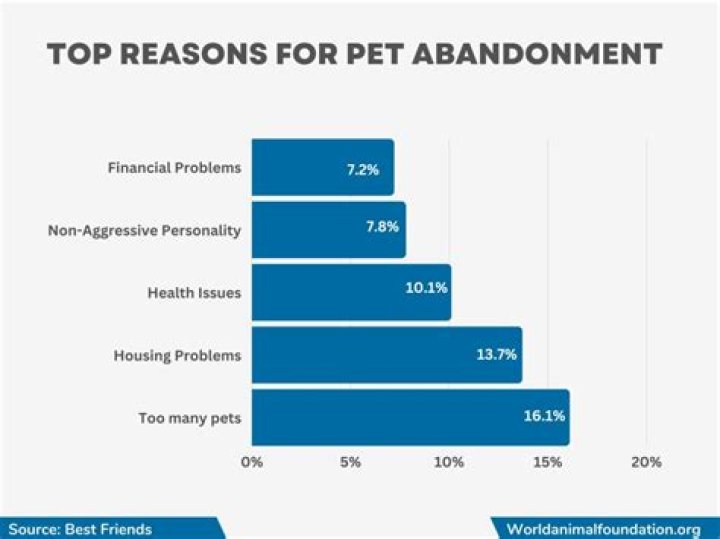 	VETERINARIANS OFTEN LEFT WITH ABANDONED PETS	