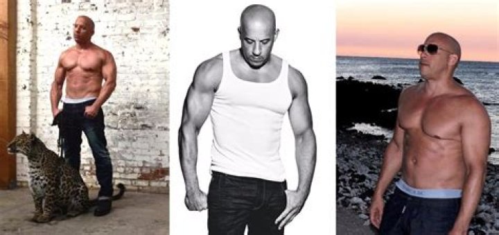 Vin Diesel Taille