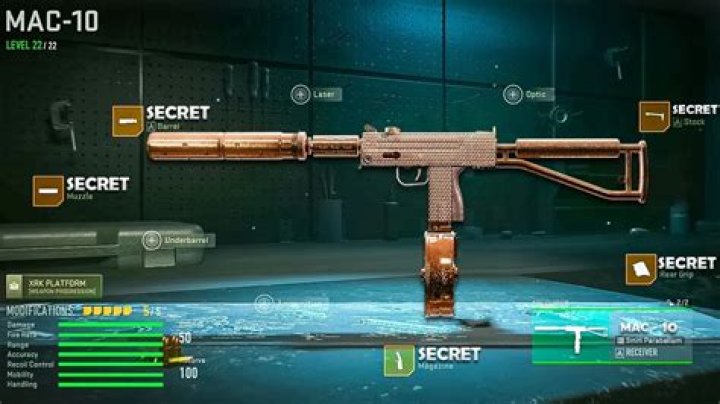 Warzone Streamers Blown Away at Absurd Mac-10 Loadout