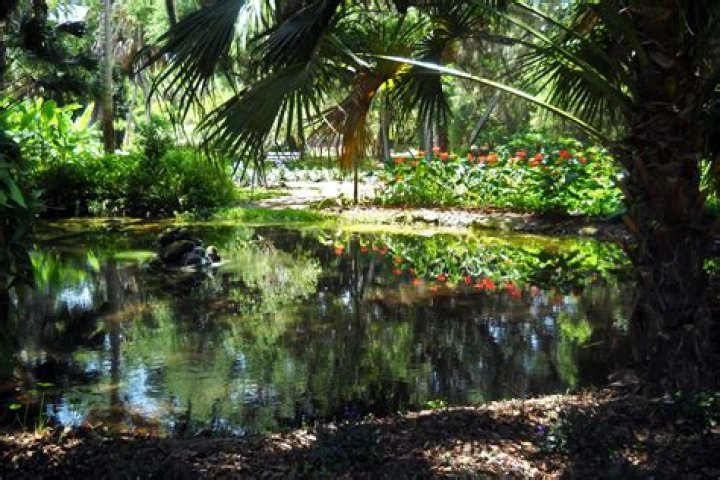 	Washington Oaks Gardens a scenic A1A respite	