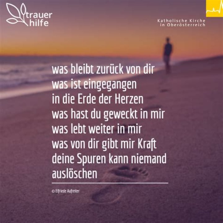 „Wenn schon sterben, dann auf dem Platz!“