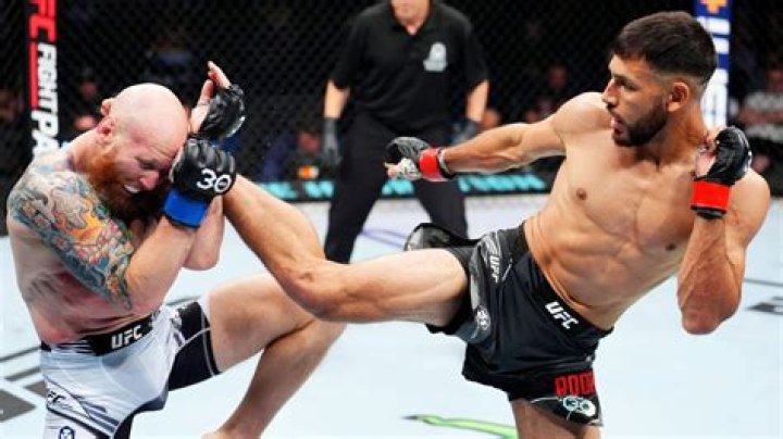 What does interim belt mean in UFC?