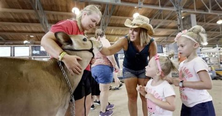 What happened at the Wisconsin State Fair? Cow controversy explained