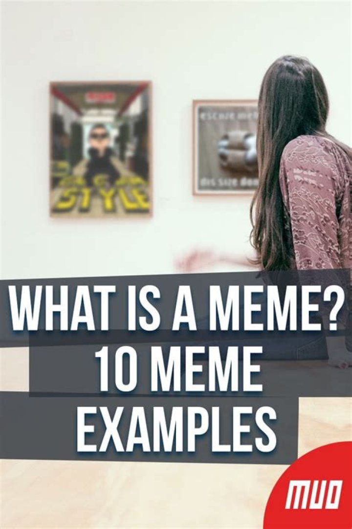 What Is a Meme? 10 Meme Examples