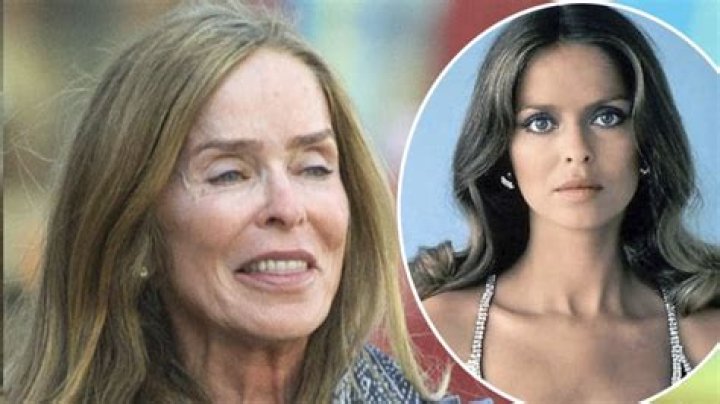 What is Barbara Bach Net Worth 2024: Wiki, Age, Weight, Height, Relationships, And More