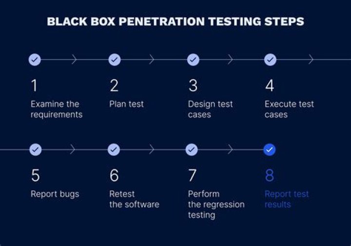 What Is Black-Box Penetration Testing and Why Should You Choose It?