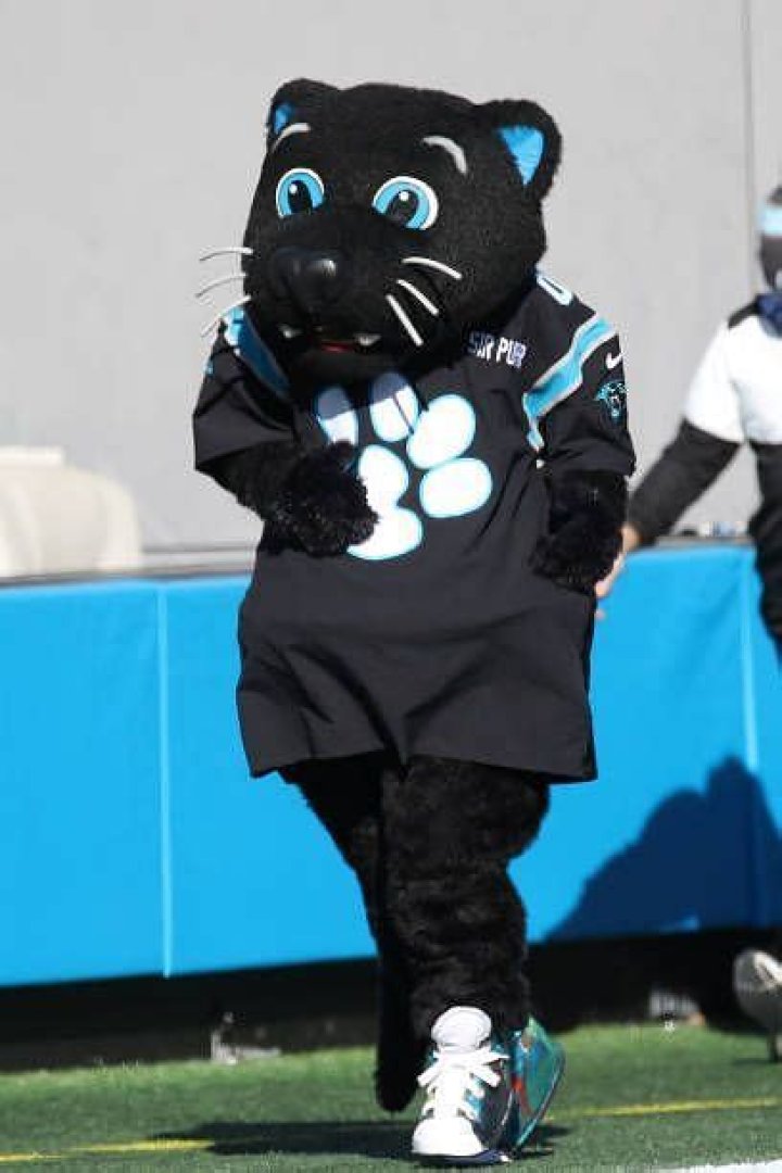 What is Carolina Panthers Mascot Sir Purr Salary?