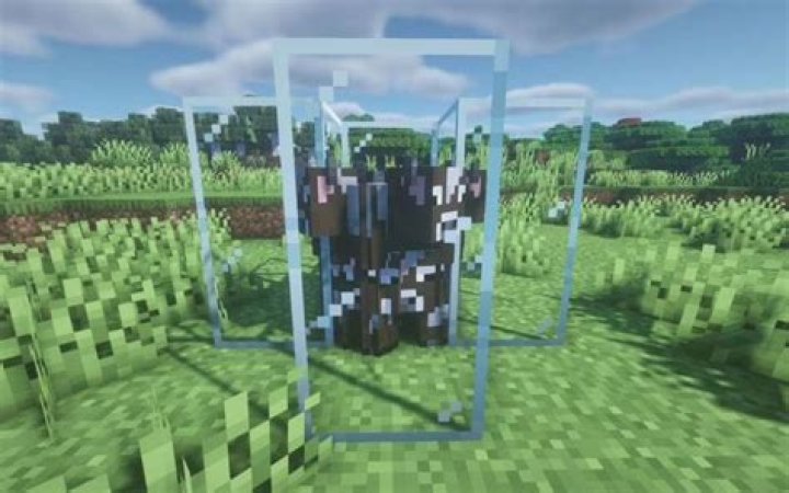 What is entity cramming in Minecraft?