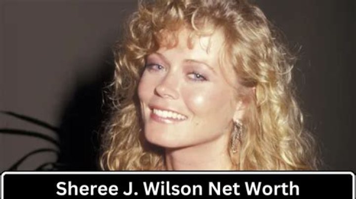 What is Sheree J. Wilson Net Worth 2024: Wiki, Age, Weight, Height, Relationships, And More