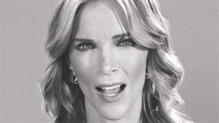 What Is up With Megyn Kelly’s Face and New Look? Is It Plastic Surgery?
