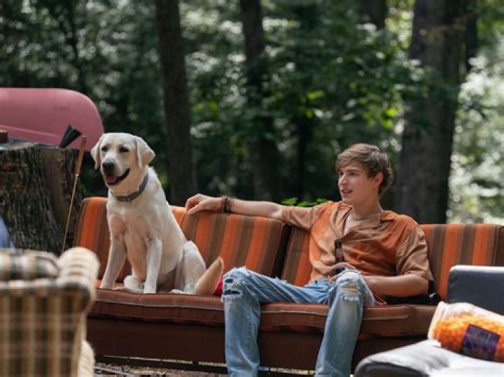Where was Netflix's Dog Gone shot? Filming locations explored