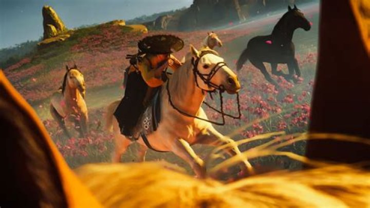 Which Horse Should You Pick?