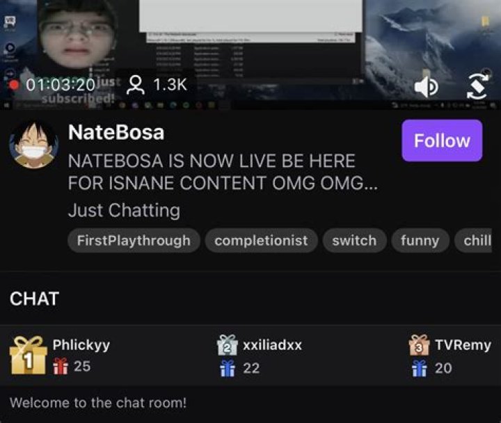 Wholesome Twitch streamer goes viral for trying to return gifted subs