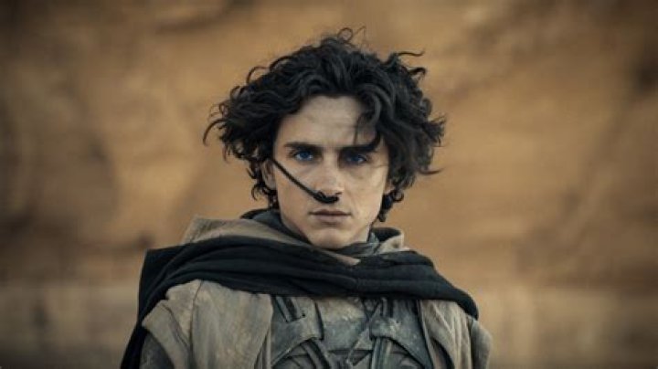 Why Did Paul Betray Chani? Dune 2 Ending Explained