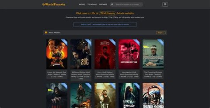 worldfree4u.ink login safely, analysis & comments