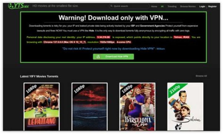 yify-movies.net login safely, analysis & comments