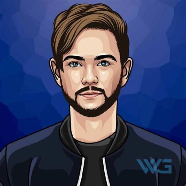 Zedd Vermögen