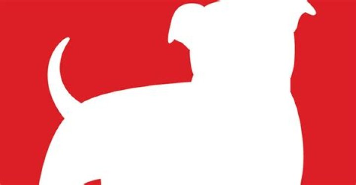 Zynga chief game designer leaving company